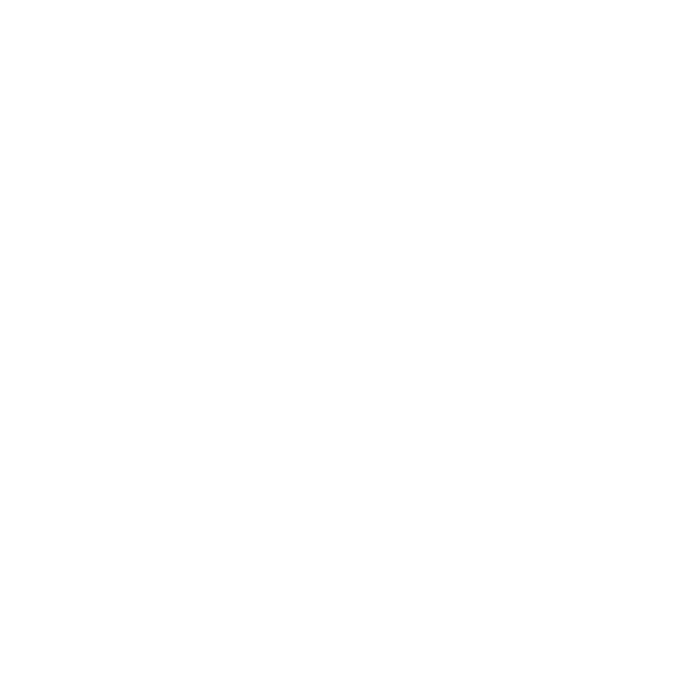 Сторінка Rodds в Instagram